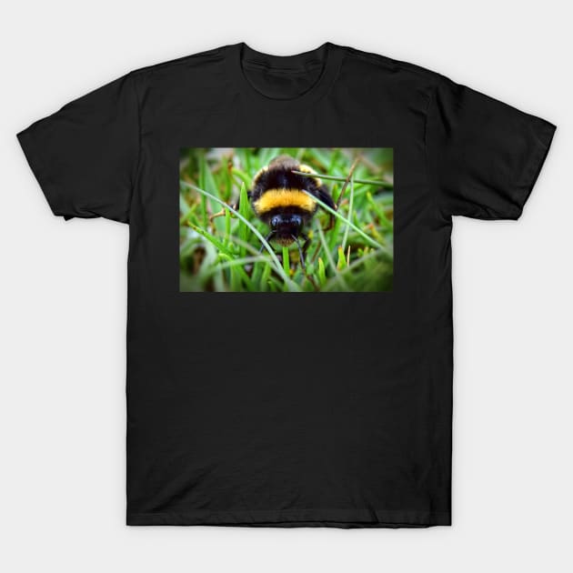 Bee Portrait T-Shirt by dhphotography